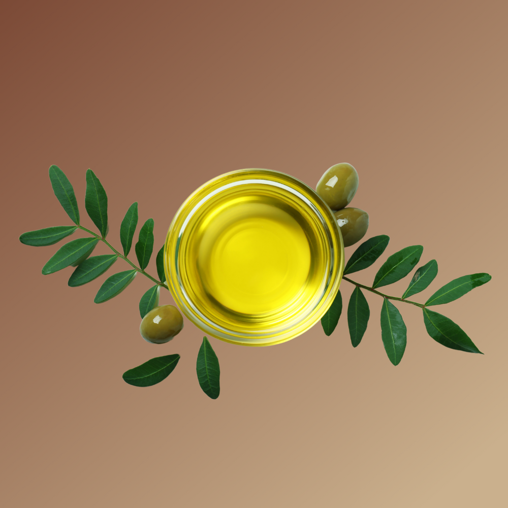 Olea Europaea Olive Fruit Oil